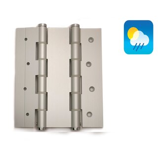 Dulimex 2 Charnières à ressort pour porte 180/30 double effet - Gris argent