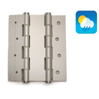 Dulimex 2 Charnières à ressort pour porte 180/50 double effet - Gris argent