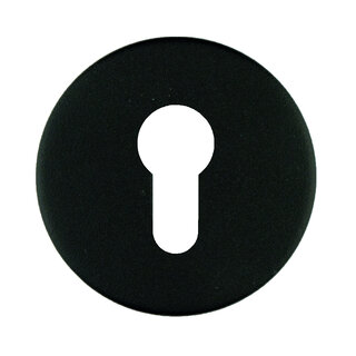 HDD 1 Plaque cylindre Raily structure noire