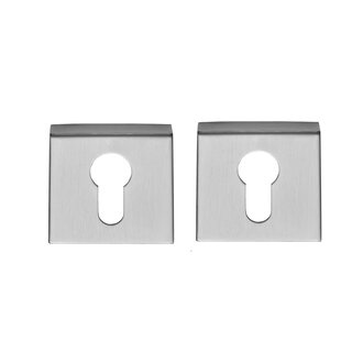 Formani Cilinderplaatjes Basics BSQ Y53 IN - Mat RVS