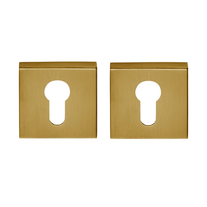 Formani Paar cilinderplaatjes Basics BSQ Y53 IM- Mat goud PVD