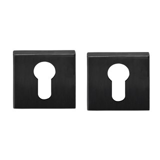 Formani Plaques de cylindre Basics BSQ Y53 IG - Bronze PVD