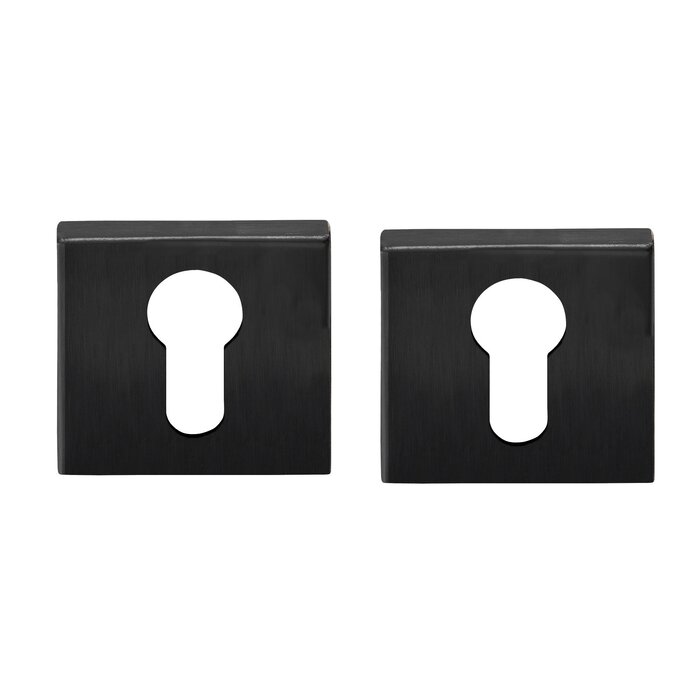 Formani Pair of cylinder plates Basics BSQ Y53 IG - Gun metal PVD