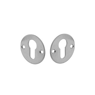 Intersteel Intersteel  Cilinderplaatjes rond plat 50x2mm RVS