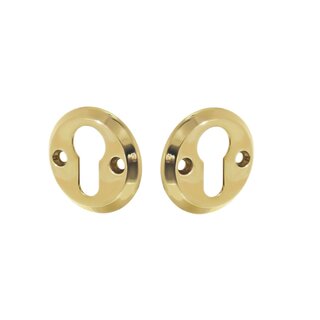 Intersteel Intersteel Rosettes profile cylinder hole screw hole lacquered brass