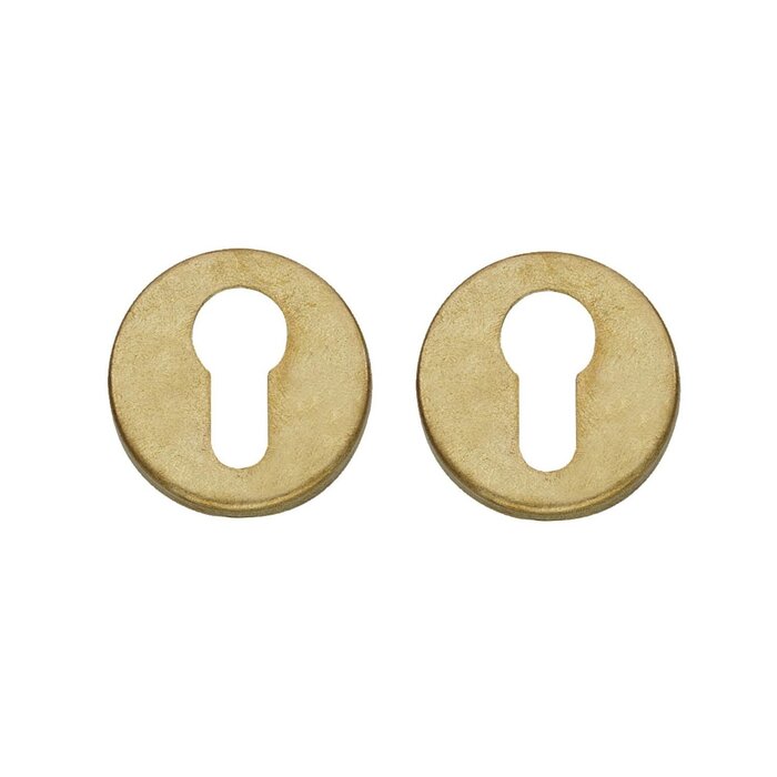 Intersteel Pair of Intersteel rosettes cylinder hole round ∅49x7mm tumbled brass