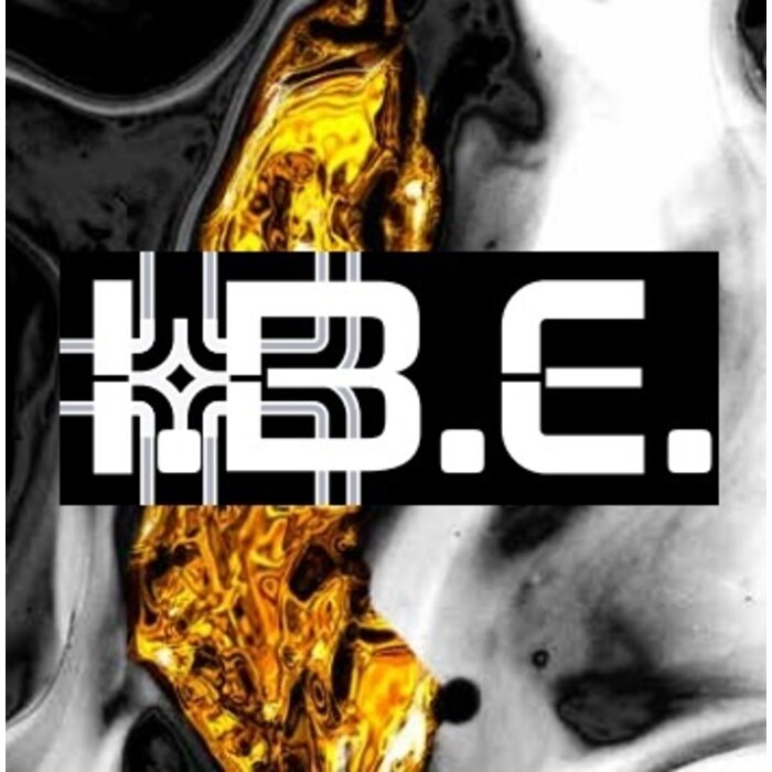 I.B.E. Unbehandelter Holzmöbelgriff DRIMO symmetrisch von IBE - Eiche natur