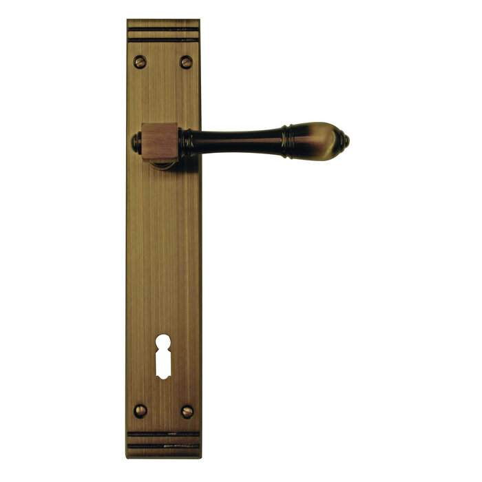 HDD Door handles ALDAGONDA on plate - Bronze