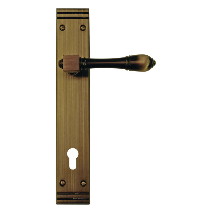 HDD Door handles ALDAGONDA on plate - Bronze