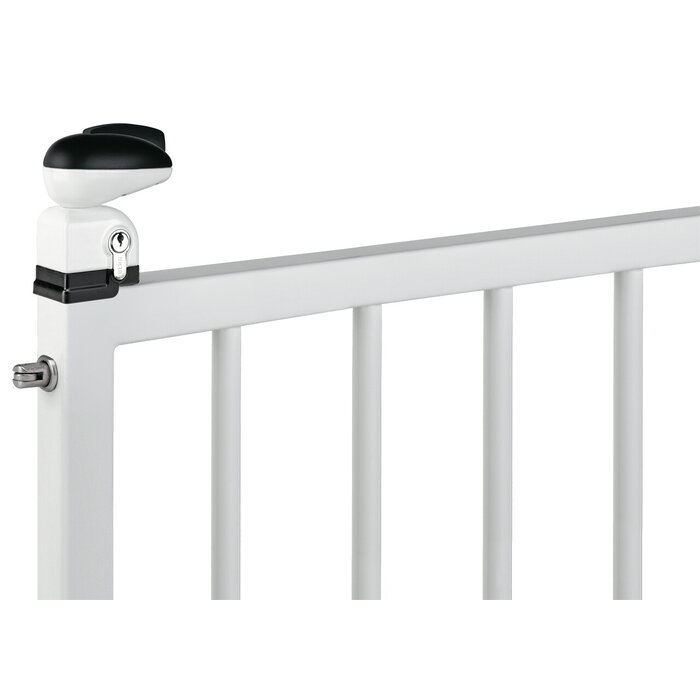 LOCINOX Serrure de sécurité enfants Locinox pour portails de piscine TWIST40