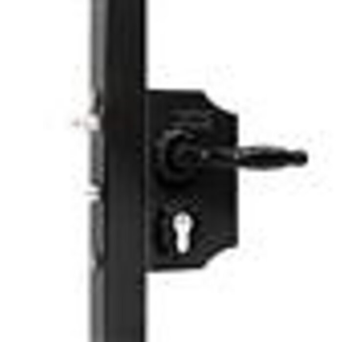 LOCINOX Locinox Serrure de portail ornementale en saillie LARQ40H2LVSZFA pour profil rond 40-60 mm - grande