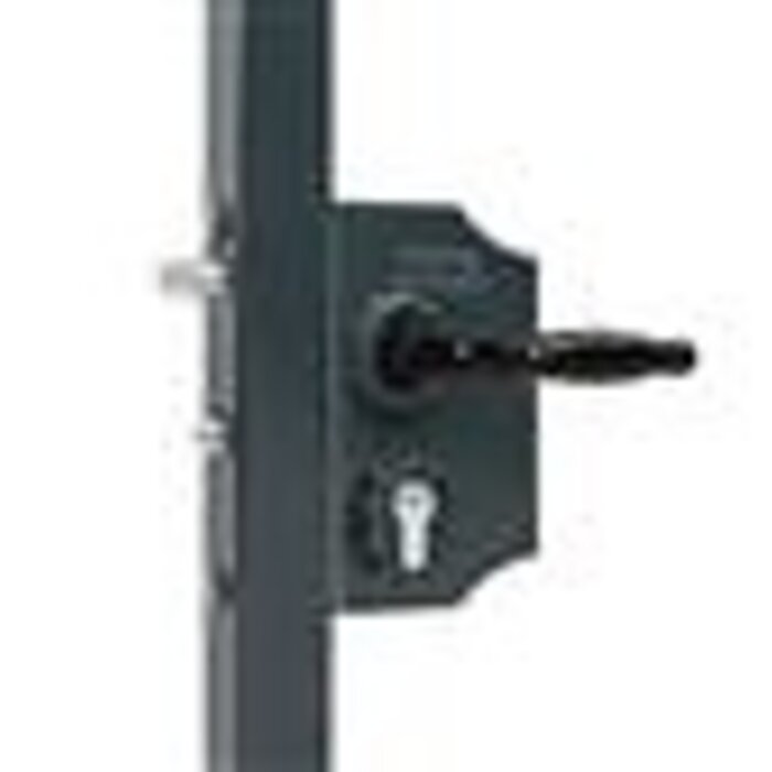 LOCINOX Locinox Surface-mounted ornamental gate lock LARQ40H2LVSZFA for round profile 40-60mm - large
