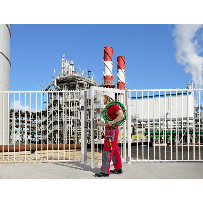 LOCINOX Serrure magnétique en saillie Locinox MAG 3000 - avec poignées