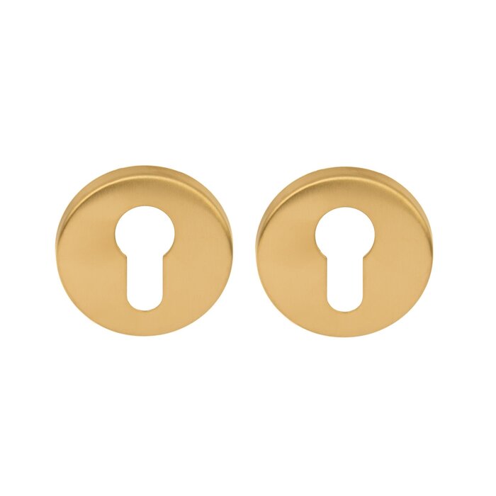 Formani Pair of Cylinder Plates Basics LBY50 6 mm - PVD matt gold
