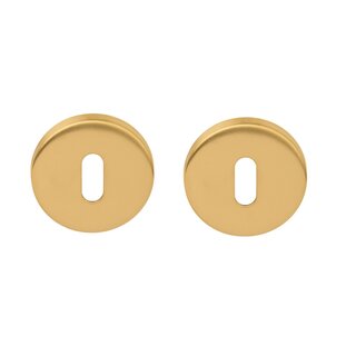 Formani Key plates Basics LBN50 6 mm - PVD matt gold