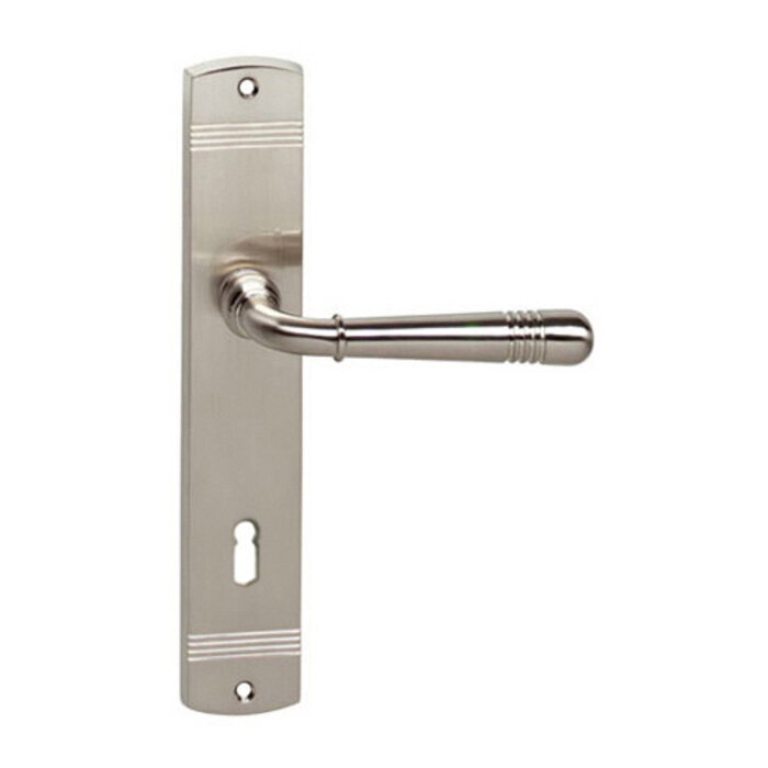 Intersteel Intersteel Poignée de porte Helena sur bouclier aveugle nickel mat