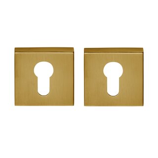 DKS Square cylinder plates 53Q - PVD matt gold