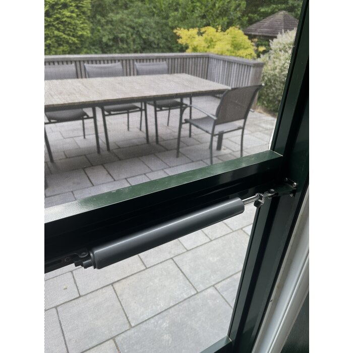 Dulimex Pompe à ressort de porte pneumatique gris argenté