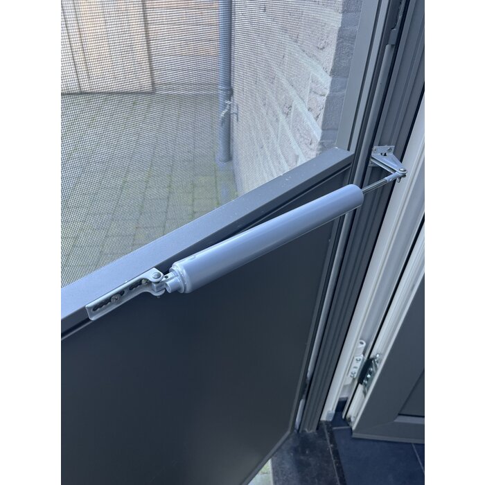 Dulimex Pompe à ressort de porte pneumatique gris argenté