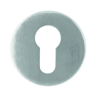 HDD 1 Plaque cylindre inox zéro 54x8mm