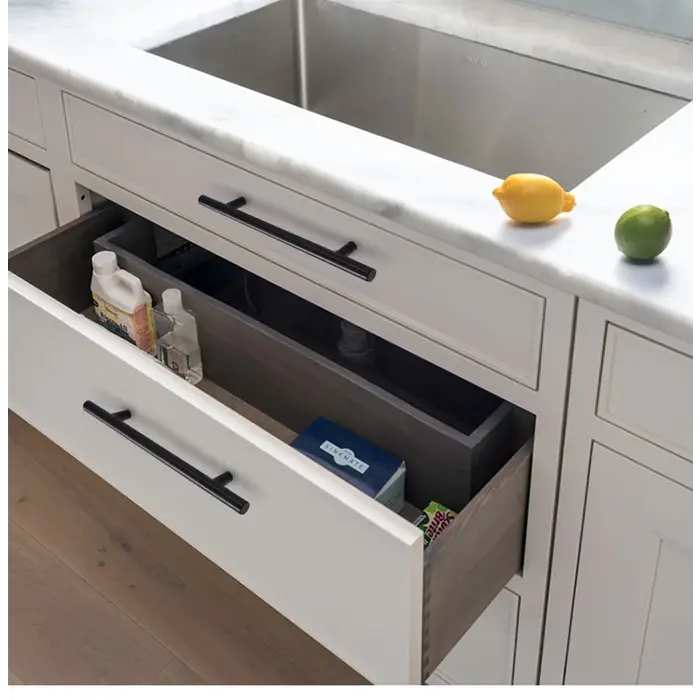 DKS RVS meubelgrepen DENVER - Zwart