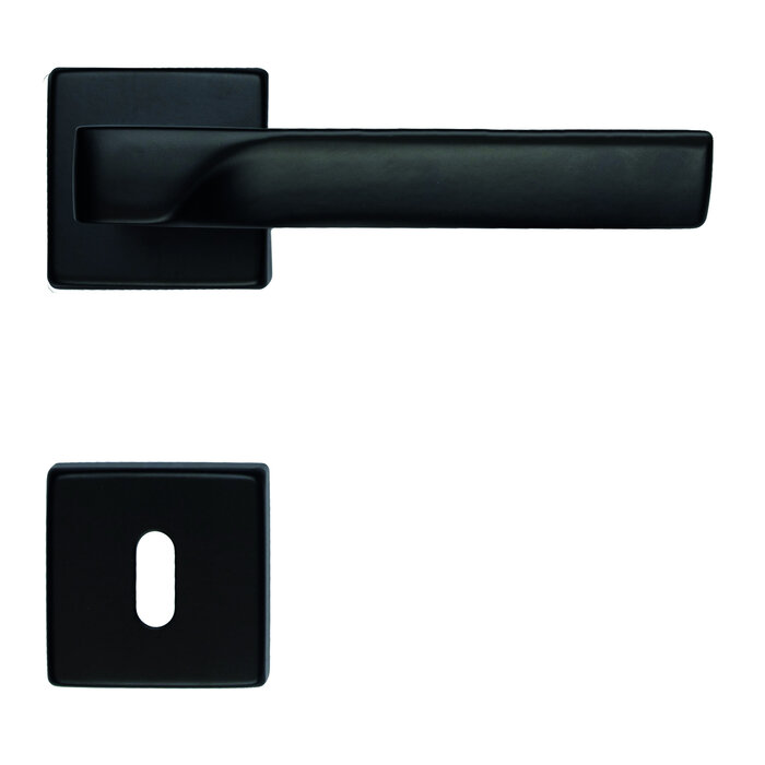 HDD Black door handles FLASH