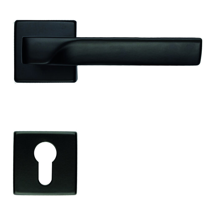 HDD Poignées de porte noires FLASH