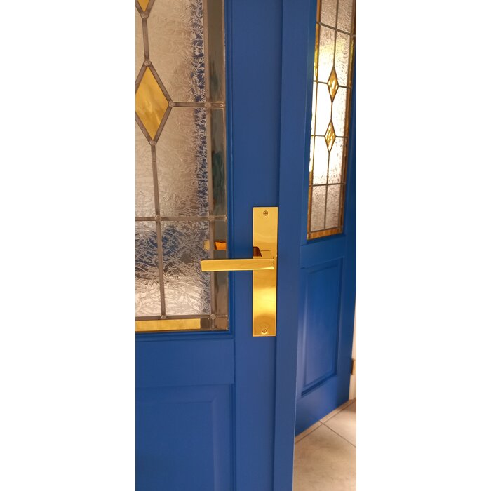 Intersteel Poignées de porte Intersteel Hera sur bouclier long 245 x 45 mm laiton Titane