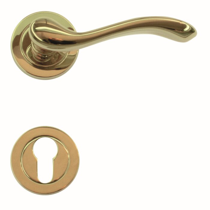 HDD Titanium door handles Erica