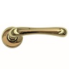 HDD Titanium door handles Ibra