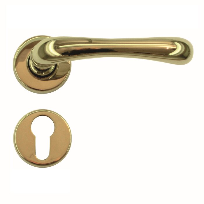 HDD Titanium door handles Ibra