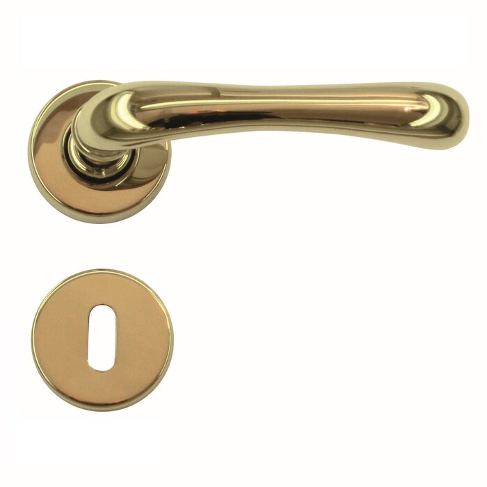 HDD Titanium door handles Ibra