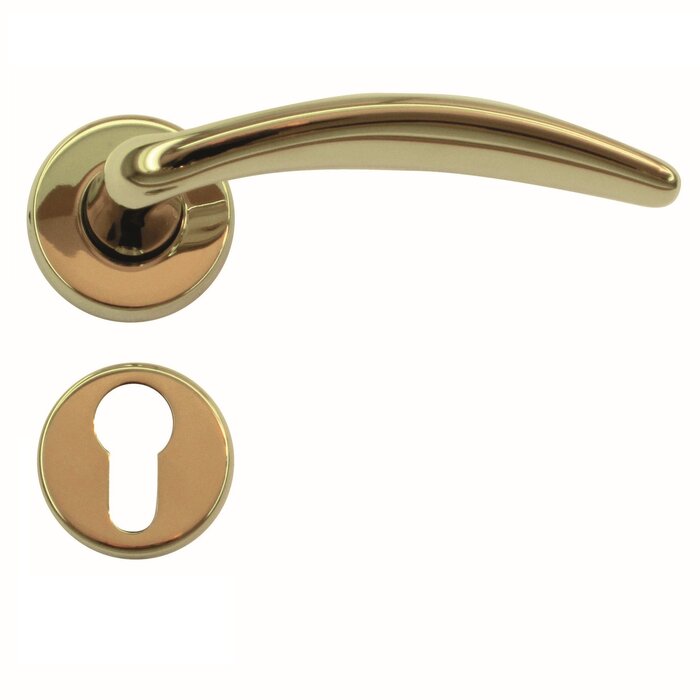 HDD Titanium door handles Francy