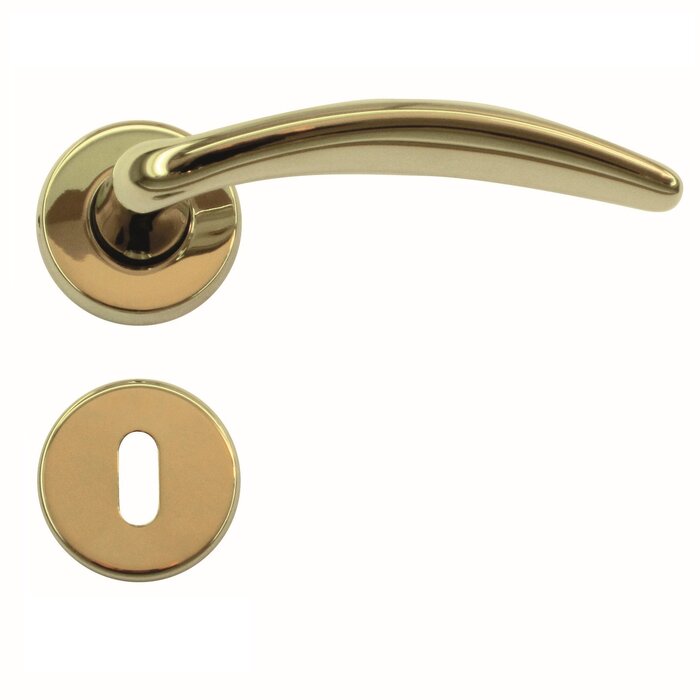 HDD Titanium door handles Francy