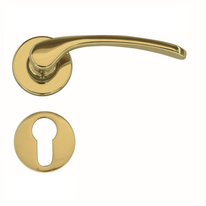 HDD Goldene Türgriffe Nicole