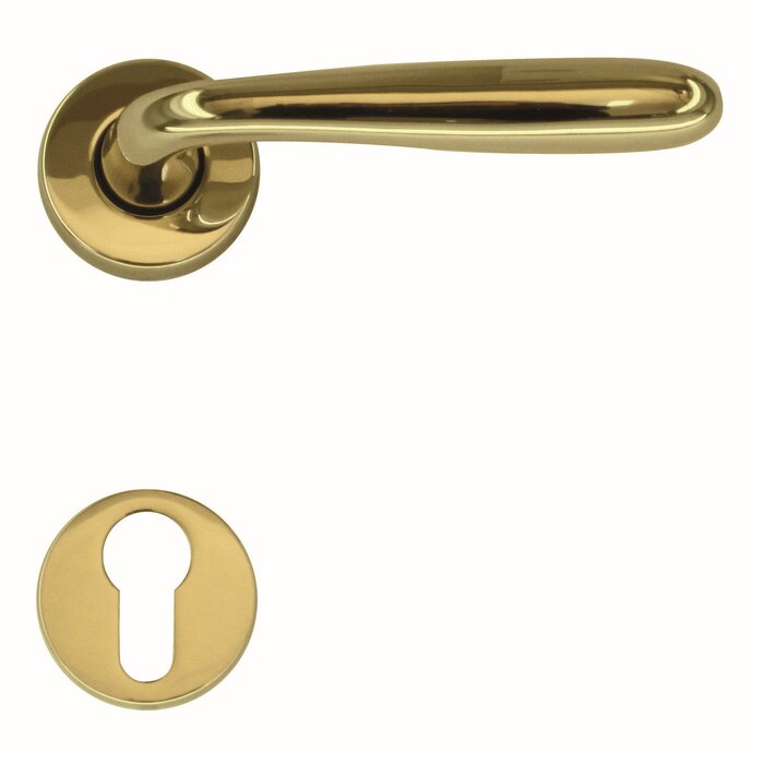 HDD Goldene Türgriffe Alma