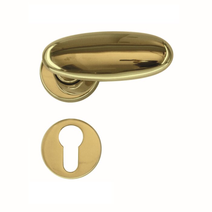 HDD Golden door handles Olive NM