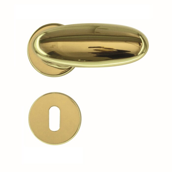 HDD Gouden deurklinken Olive NM