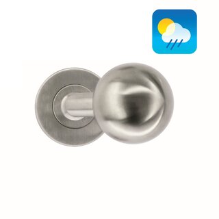 HDD Stainless steel hinged door knobs BS Shape 50 mm