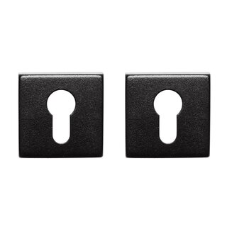 In-Door Pair of cylinder plates square stainless steel / black