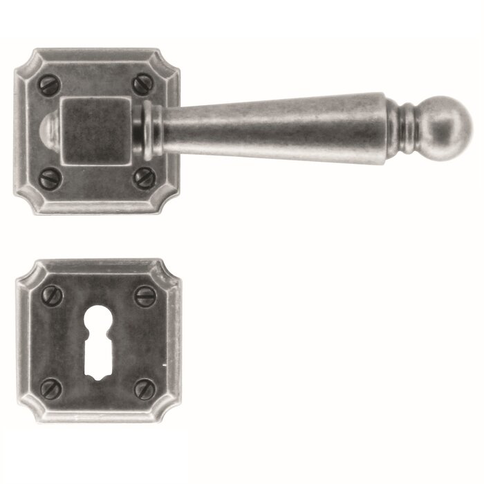 HDD Alte silberne Türgriffe Rubens