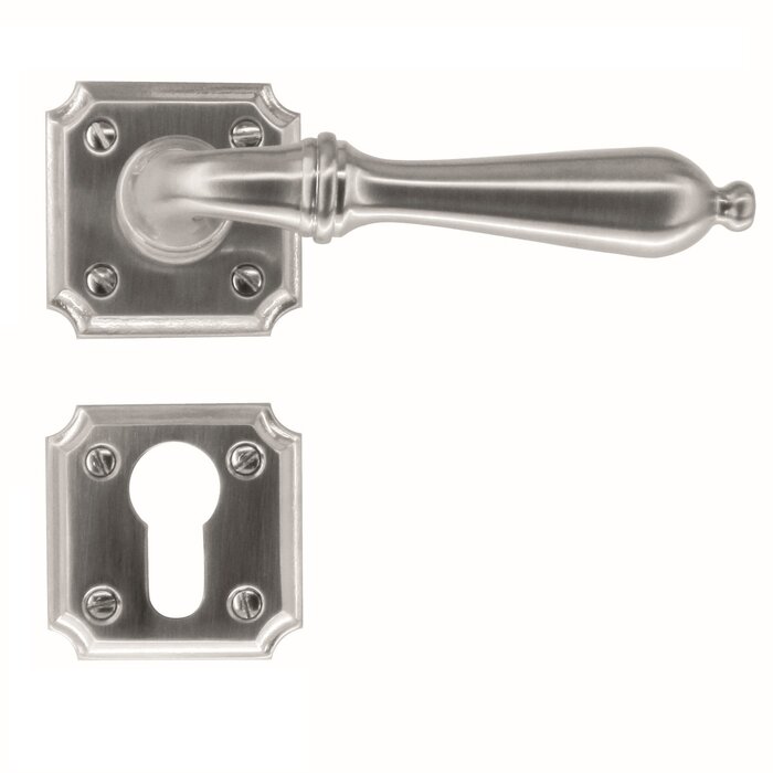 HDD Old silver door handles Lisa