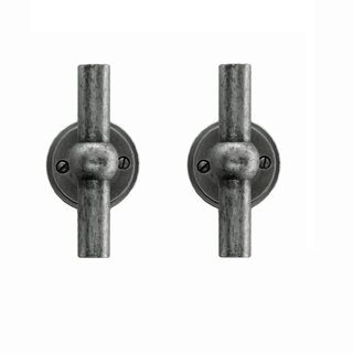 HDD Poignées de porte anciennes en argent Petana T+T