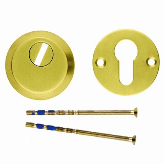 HDD Sicherheitszylinderplatten SAFE 12 mm - Mattgold