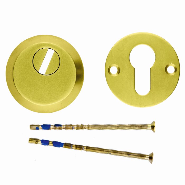 HDD Veiligheidscilinderplaatjes  SAFE 10 mm - mat goud