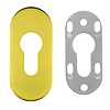 HDD 1 Veiligheidscilinderplaatje ovaal 9 mm - Mat goud