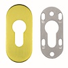 HDD 1 Veiligheidscilinderplaatje ovaal 6mm - Mat goud