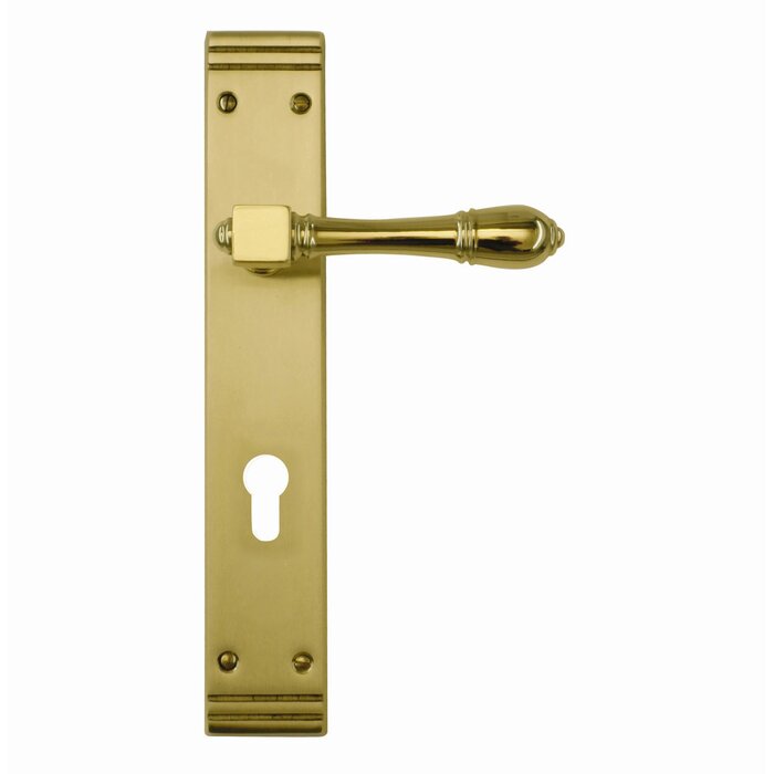 HDD Door handles Aldagonda gold on straight plate