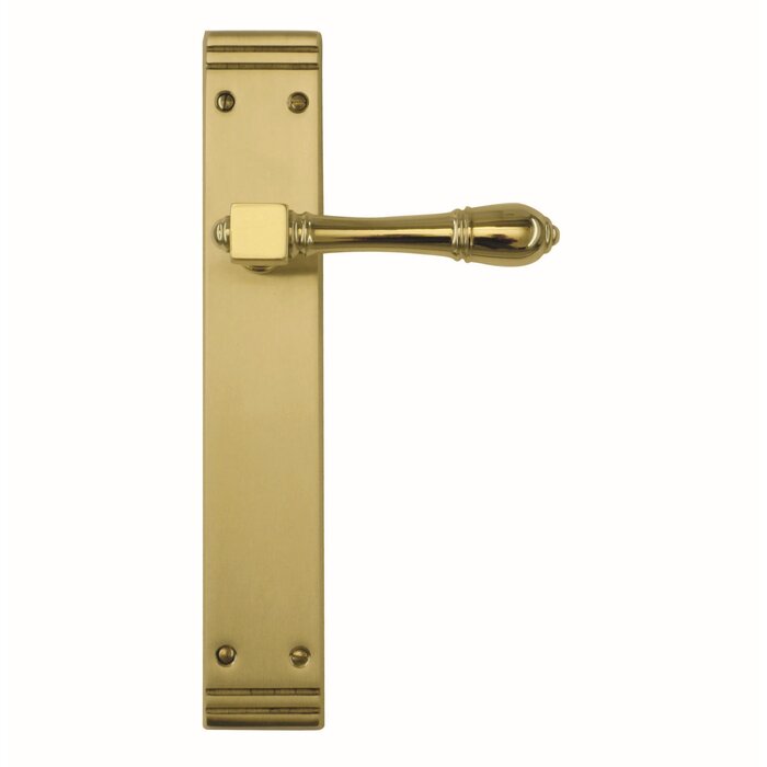 HDD Door handles Aldagonda gold on straight plate