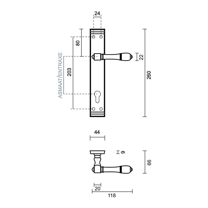 HDD Door handles Aldagonda gold on straight plate
